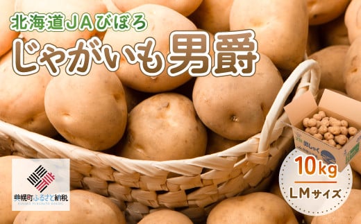 じゃがいも「男爵」10kg ふるさと納税 人気 おすすめ ランキング 芋 いも じゃがいも ジャガイモ イモ 野菜 男爵 男爵いも 北海道 美幌町 送料無料 BHRG020