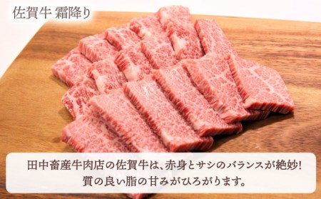 【全6回定期便】【隔月発送】佐賀牛 焼肉セット 1.0kg（霜降り・赤身 各500g）【田中畜産牛肉店】黒毛和牛 焼肉 バーベキュー BBQ[HBH123] 佐賀牛 牛肉 黒毛和牛 佐賀牛 牛肉 和牛