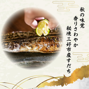 すだち 三好市産 1kg 2L  徳島 果汁 すだち すだち すだち すだち 