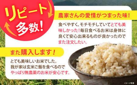 コシヒカリ10kg[AQBL004]玄米玄米玄米玄米玄米玄米玄米玄米