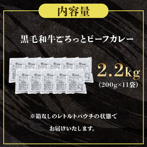 訳あり 黒毛和牛 ごろっと ビーフカレー 2.2kg レトルト パウチ 200g×11袋 レトルトカレー 牛肉 カレー 和牛 贈答 お祝い 内祝い 贈り物 人気 ギフト プレゼント 贈答品 贈答用 お