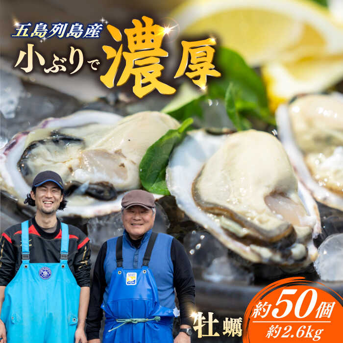 【ふるさと納税】養殖カキ 五島小町 生食用 養殖 牡蠣 かき 殻付き 約2.6Kg 【五島オイスター】[RCN002]