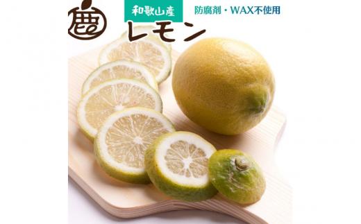 ＜先行予約＞厳選 黒潮レモン 2.5kg+250g（傷み補償分）【和歌山有田産】【防腐剤・WAX不使用、安心の国産レモン】 ※北海道・沖縄・離島への配送不可 /レモン れもん 柑橘 フルーツ 果物 果実 【ikd136B】