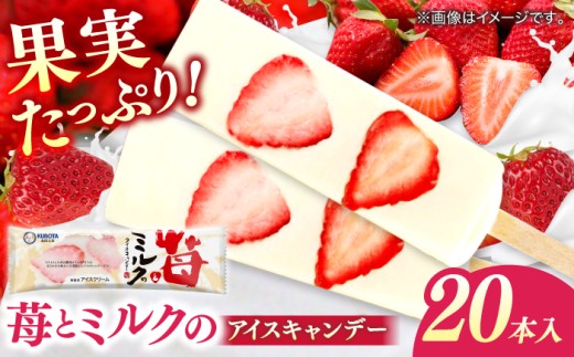 苺とミルクのアイスキャンデー 20本入 / 久保田食品 アイス アイスクリーム アイスキャンデー デザート スイーツ 苺 いちご イチゴ ミルク 果物 フルーツ セット 詰め合わせ バラエティ ギフト お取り寄せ 高知 土佐 【グレイジア株式会社】 [ATAC213]