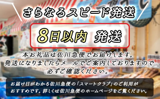 北海道産ほっけ一夜干し（500～550g）×2枚 | 釧路町の匠が贈る 北の至宝 𩸽 ホッケ 干物 おつまみ 焼魚 焼き魚 定食 魚 干物 セット ひもの 冷凍 ヒロセ 北海道 釧路町 釧路超 特産品