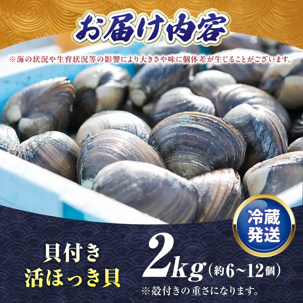 【2026年7月中旬以降順次発送再開】活ほっき貝 2kg 約6〜12個 ホッキ [AXAL005]