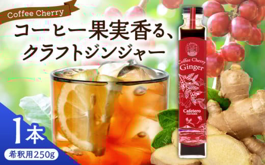 クラフトジンジャー コーヒーチェリージンジャー 250g×1本 / ジンジャー エナジードリンク コーヒーチェリー 神奈川県 葉山町 クラフトジンジャー 天然 ドリンク 【カフェテーロ葉山】 [ASBM003]