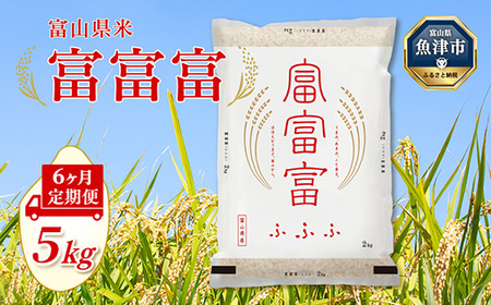【令和7年度米】【6ヶ月定期便】富山県産米「富富富」5kg（精米）｜6ヶ月定期便 6回 6ヶ月 富富富 ふふふ こめ コメ お米 おこめ 白米 精米 ブランド米 雪解け水 冷めても 美味しい おにぎり お弁当 高品質 魚津市 ※北海道・沖縄・離島への配送不可
