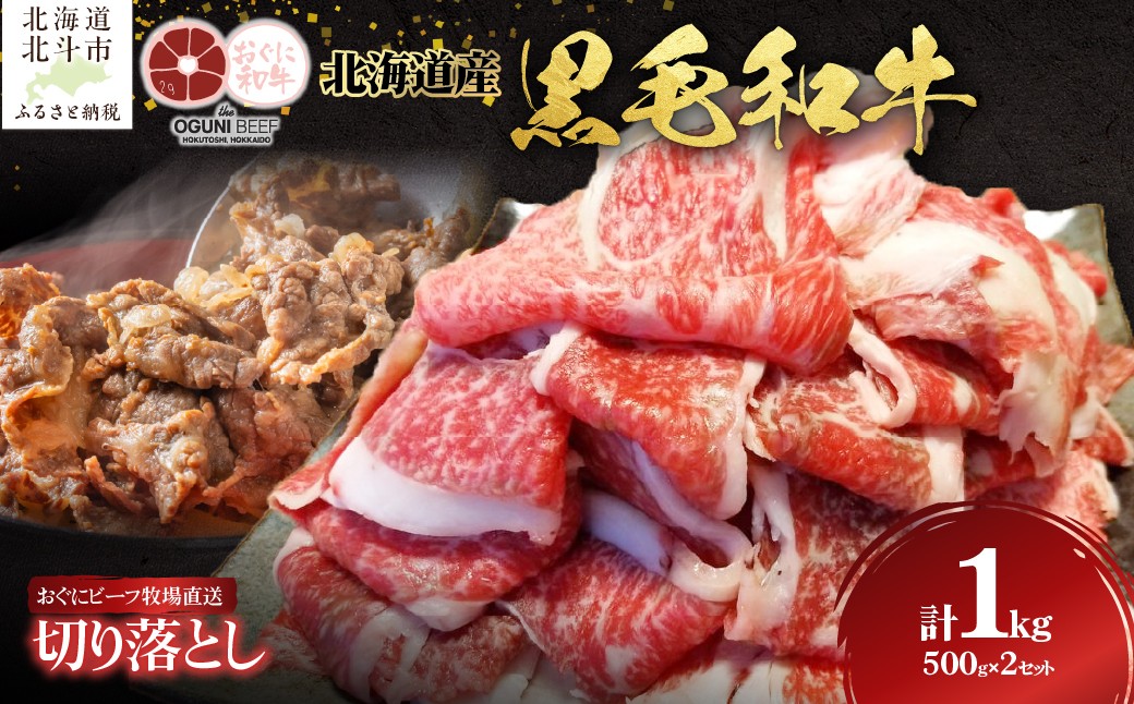
                  北海道産 黒毛和牛 おぐにビーフ 牧場直送 切り落とし 500g×2 【 ふるさと納税 人気 おすすめ ランキング 牛 牛肉 黒毛和牛 肉 おぐにビーフ 切り落とし もも モモ バラ ばら うで ウデ 牛丼 肉豆腐 肉じゃが カレーライス プルコギ 肉野菜炒め 肉炒め ギフト 贈答 北海道 北斗市 送料無料 】 HOKQ003
                