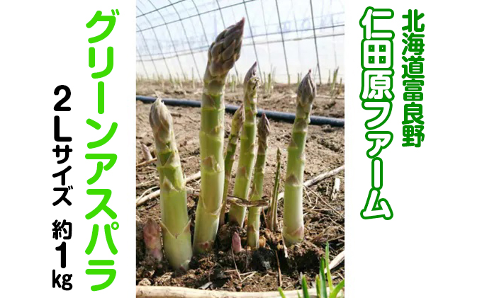 【2025年4月～発送】朝採り 富良野市 グリーン アスパラ 2Lサイズ  約1kg  (仁田原ファーム) 野菜 新鮮 太い 直送 朝採り アスパラガス 道産 北海道 ふらの