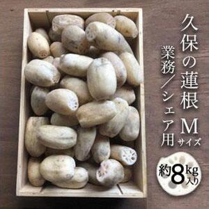 蓮根 業務・シェア用「Mサイズ」約8kg入 れんこん