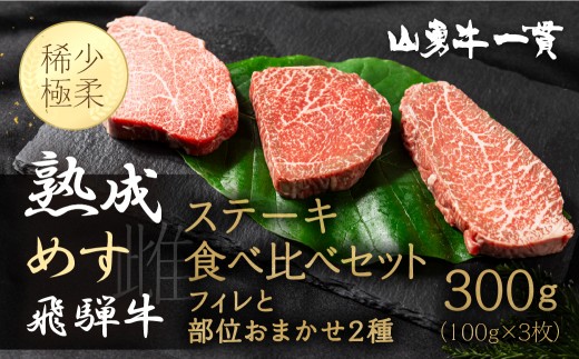 
                  飛騨牛 堪能ステーキセット 計300g 飛騨の牧場で育った熟成『山勇牛』フィレとおすすめ部位2種ステーキ食べ比べセット 牛肉 和牛
                