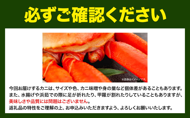 訳あり カニ 松葉ガニ 選べる 約1kg 2〜3枚《2024年11月中旬-2025年3月中旬に出荷予定》鳥取県 八頭町 送料無料 蟹 かに 姿 鍋 ズワイガニ 松葉ガニ ズワイ蟹 ボイル 冷蔵便 松葉