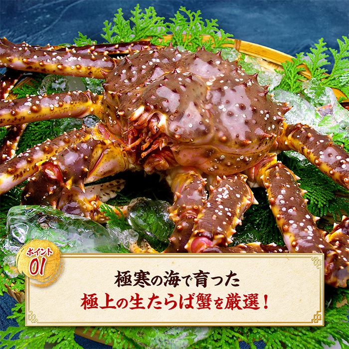 26-33 カット済み特大生たらば蟹足_イメージ3