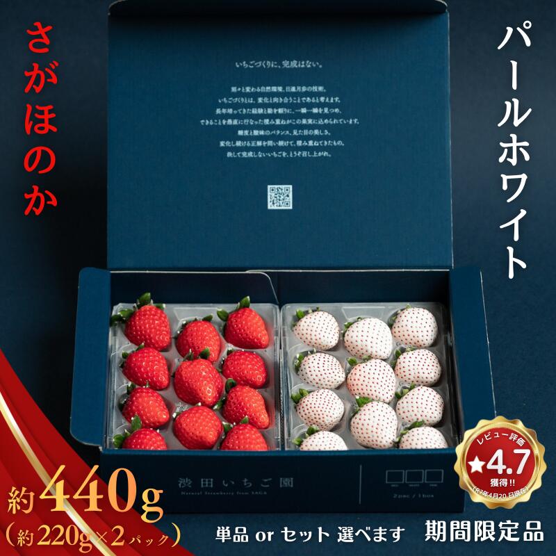 【ふるさと納税】【高評価4.75！】佐賀県産 いちご さがほのか＆パールホワイト 選べる単品 紅白セット：B140-008