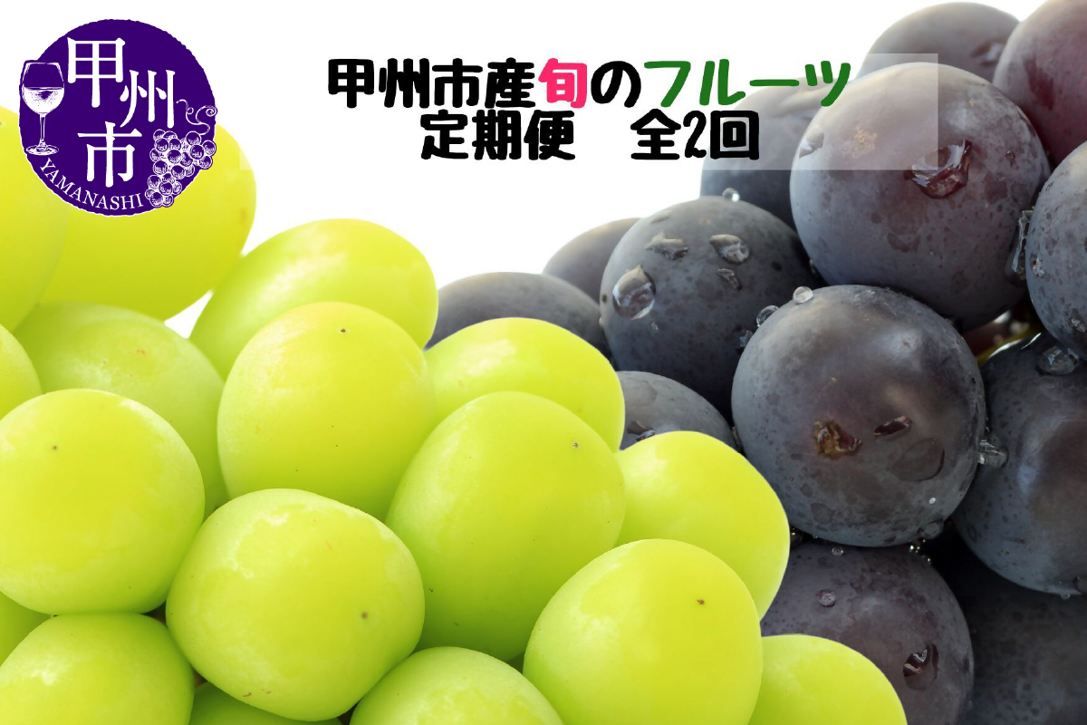 【定期便】甲州市産厳選旬のフルーツ定期便全2回（巨峰・シャインマスカット）【2027年発送】（MG）B19-481