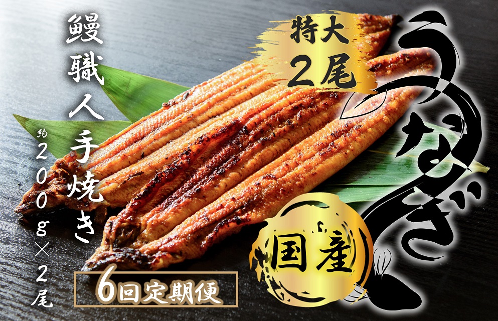 FK016　【6回定期便】九州産　うなぎ職人手焼き　蒲焼　国産　有頭鰻 1尾あたり約200ｇ×2尾（合計約400ｇ以上）たれ・山椒セット