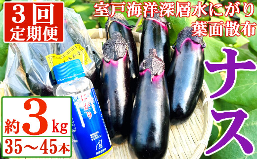 
【定期便3回発送】農家直送　土佐の美味茄子の新鮮ナス　３kg　（室戸海洋深層水にがり使用） 野菜 なす ナス 常温 小袋 国産 夏野菜 茄子 小分け 旬 21000円 高知
