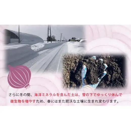真珠の玉葱 赤玉葱Lサイズ10玉 ≪海のミネラルで育てた特別栽培玉葱≫【50107】