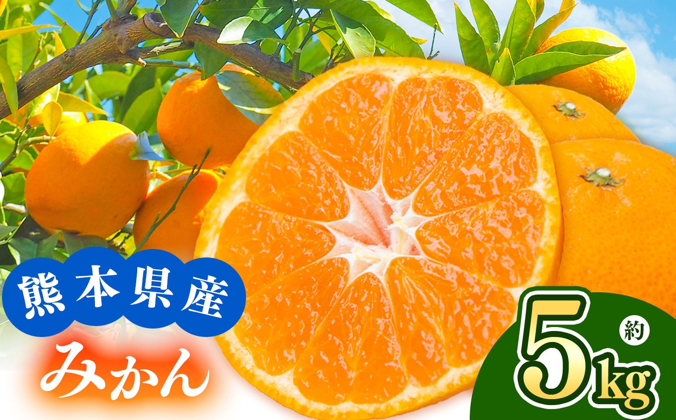 
            【 先行予約 】 熊本県なごみ町産 池田さんちのもぎたてみかん 約5kg 小玉みかん 3S | 熊本県 熊本 くまもと 和水町 なごみまち なごみ みかん ミカン 蜜柑 柑橘 柑橘類 温州 果物 フルーツ 小玉 3S
          