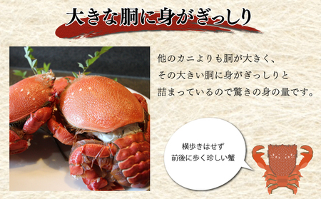 【先行予約】＜2026年11月より順次発送予定＞宮崎県串間市産 アサヒガニ500g_K027-014-01