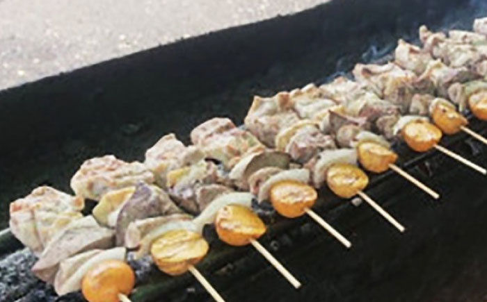 鶏もつ串 計25本（5本×5パック）| 美唄やきとり 焼き鳥 鶏肉 もつ串 小分け ご当地グルメ | 居酒屋 醍醐 [BOBI001]