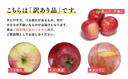 【レビューキャンペーン】4月発送 訳ありCA貯蔵 葉とらずサンふじ 約10kg  青森県産りんご[hi-0009-012]