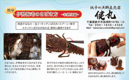 【 伊勢海老 】 活き〆冷凍伊勢海老 2kg