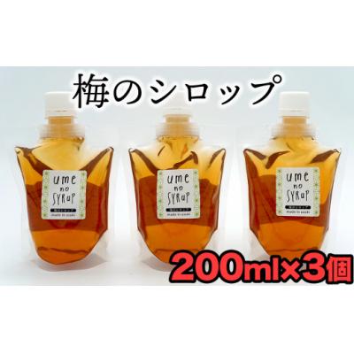ふるさと納税 臼杵市 臼杵産の梅を使用した梅シロップ(計600g)