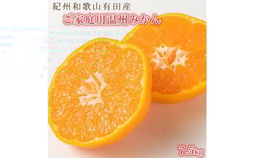 
            ［ご家庭用訳アリ］紀州有田産温州みかん7.5kg［2026年11月下旬以降発送］［先行予約］［UT10］
          