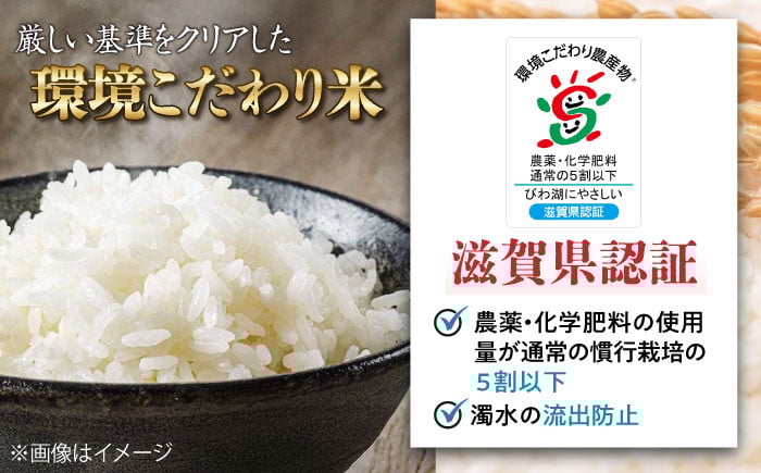 特別栽培米 コシヒカリ ミルキークイーン 環境こだわり米 みずかがみ 米 お米 白米 詰合せ おにぎり 炊き込みご飯