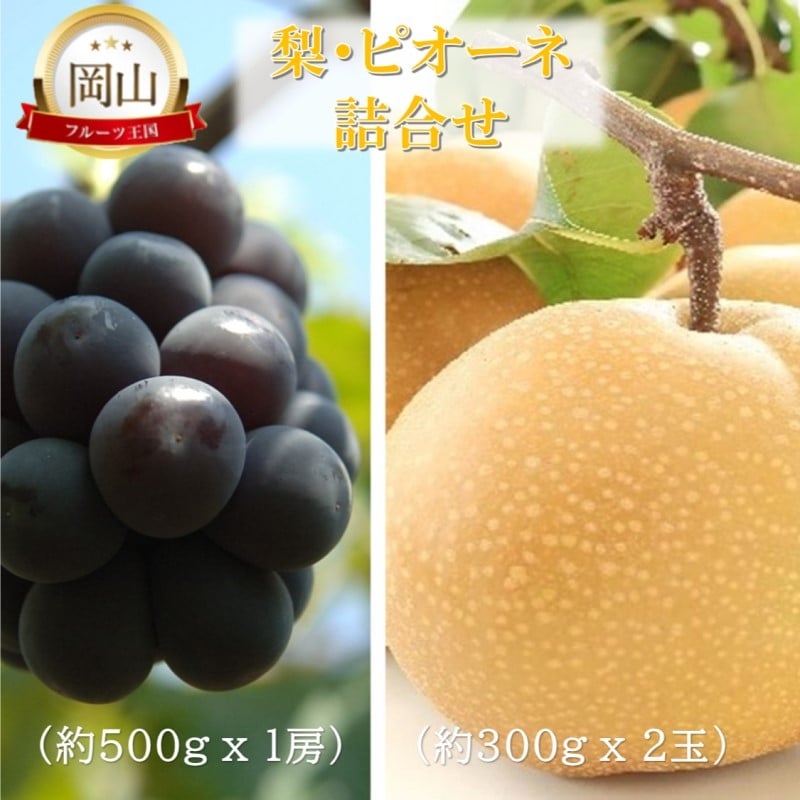 
            [№5615-0756]岡山県産 岡山の梨(約300g×2玉)・ピオーネ(約500g×1房) 詰合せ 梨 ピオーネ ぶどう ブドウ 葡萄 果物 フルーツ
          