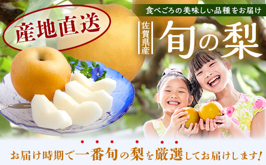 梨 約 5kg 2026年 予約 佐賀県産 | 果物 フルーツ