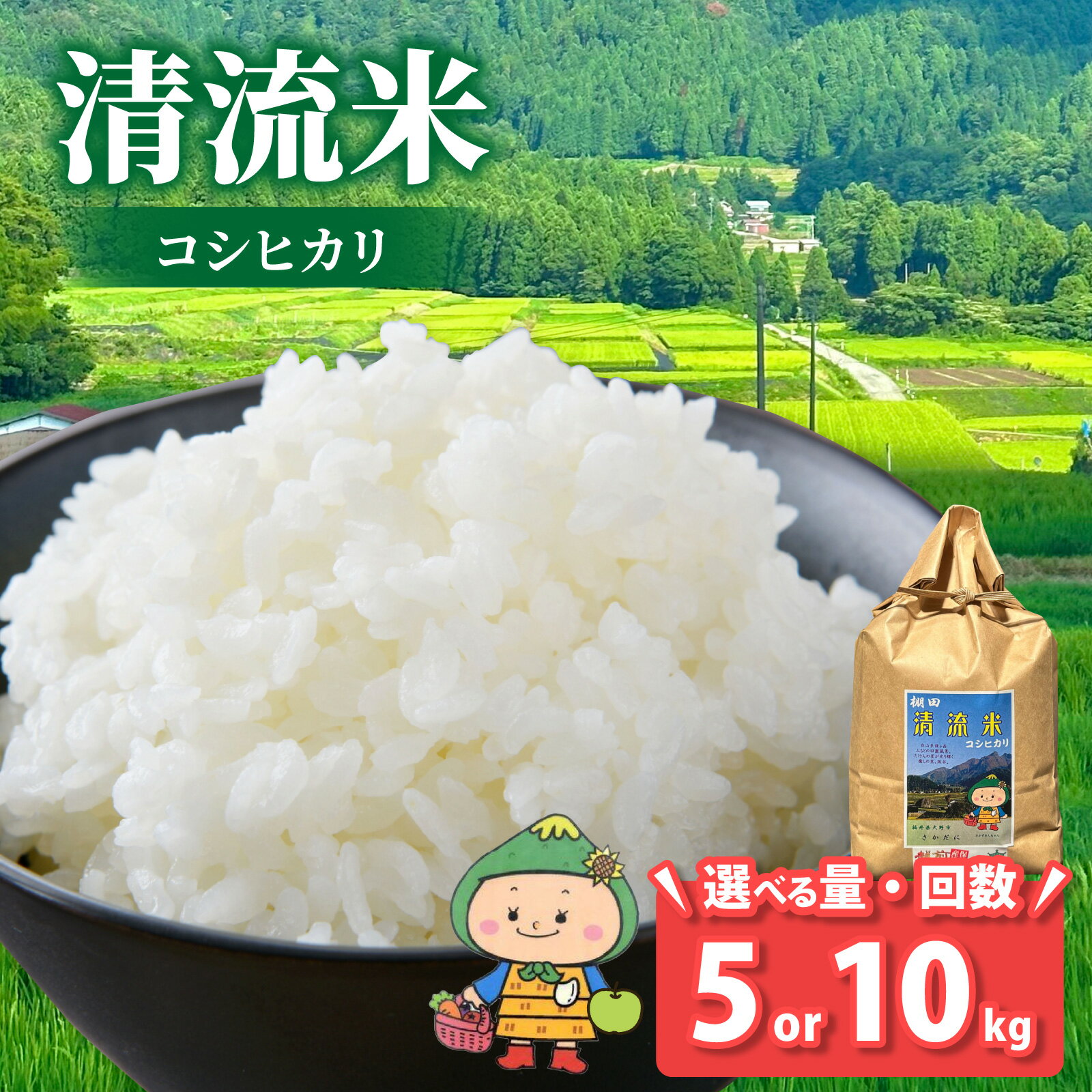 【ふるさと納税】【令和7年産 】【福井県大野市】さかだに棚田清流米！(コシヒカリ)（白米） 選べる内容量【5kg／10kg】，選べる配送回数【単発便、定期便（3ヶ月・6ヶ月）】「今話題の、あのバンドのロケ地！」 | コシヒカリ 棚田 5キロ 10キロ　頒布会 こしひかり