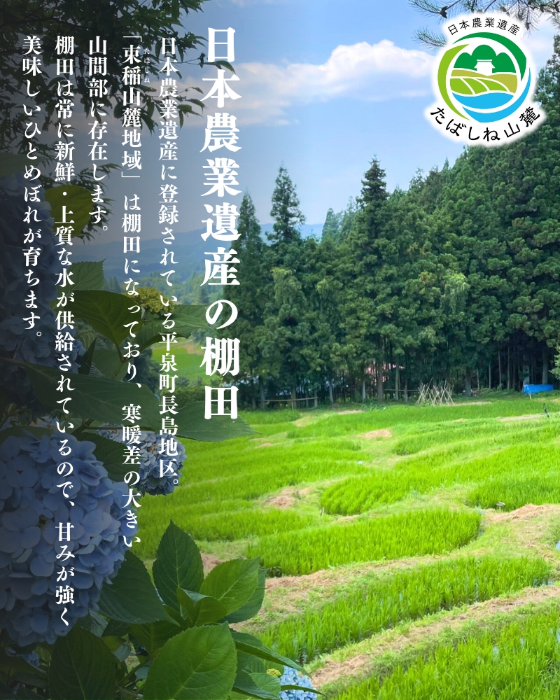 【令和6年産新米】【予約】 平泉町産 特別栽培米ひとめぼれ 20kg（10kg×2） 農薬50%削減 体に優しい 棚田のお米 【米 お米 ひとめぼれ 平泉 米 白米 こめ 岩手 東北 日本農業遺産】 