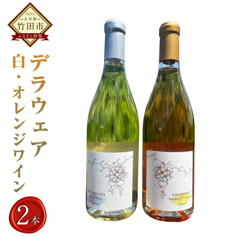 【ふるさと納税】 デラウェア Gemini（白）＆デラウェア OrangeGeminiセット 各720ml×1本 ワイン 白ワイン オレンジワイン お酒 果実酒 飲料 飲酒 ぶどう ブドウ 葡萄 飲み比べ セット 大分県 竹田市 送料無料