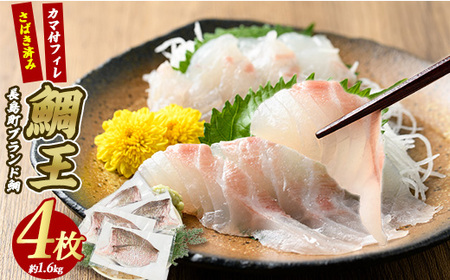 長島町特産「鯛王」 フィレ 半身 4枚入り カマ付 (約1.6kg) 産地直送 新鮮 旨味が抜群の 長島町 特産品 ブランド 刺身 鯛めし 鯛茶漬け 鯛しゃぶ 鯛刺身 鮮魚 冷蔵 【JFA】jfa-7119