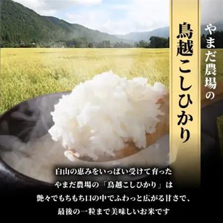 やまだ農場の鳥越こしひかり10kg(5kg×2パック)白米_ コシヒカリ 米 こしひかり_【1019156】