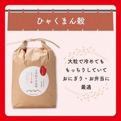 ふるさと納税 能美市 【R8年産】北本農場のお米石川県産ひゃくまん穀白米5kg×1袋