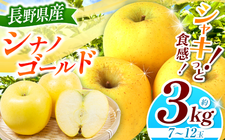 シナノゴールド 約3kg 【2026年先行予約】 ｜ 浅野農園