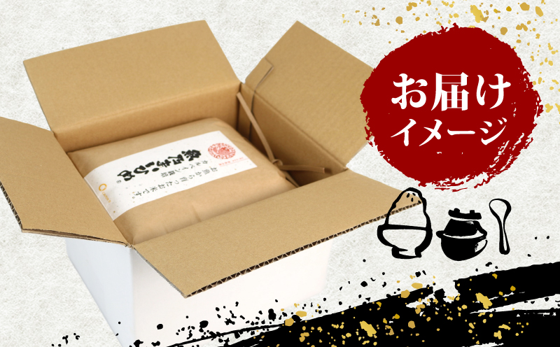 令和7年産 新米予約 コシヒカリ 魚乃まいひめ カルペイン栽培 6kg (3kg×2袋) 精米 秀長水産 新米 令和7年9月中旬以降発送 三間米 お米 米 環境保全 カルペイン 鯛 真鯛 こめ コメ 