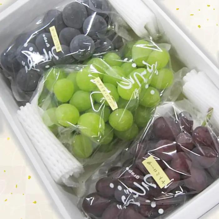 山形市産ぶどう 3種セット 秀 約1.5kg (9月発送) 【令和8年産先行予約】FS24-663 くだもの 果物 フルーツ 山形 山形県 山形市 人気 2026年産