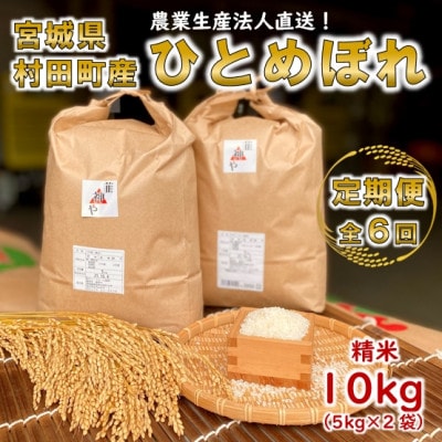 【毎月定期便】【数量限定】宮城県村田町産ひとめぼれ 精米 10kg(5kg×2袋)全6回【4056515】