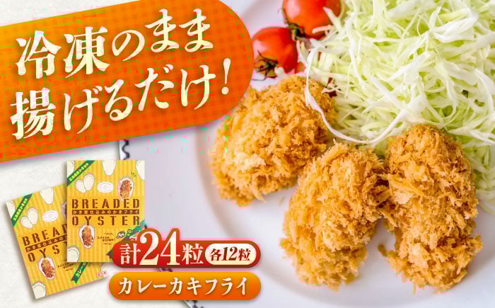 
            冷凍 カキフライ  (カレー 12粒×2袋)  広島県産 冷凍カキフライ 広島牡蠣 牡蠣 かき カキ  料理 簡単 魚介類 海鮮 ギフト 広島県福山市/クニヒロ株式会社 [BACG004]
          