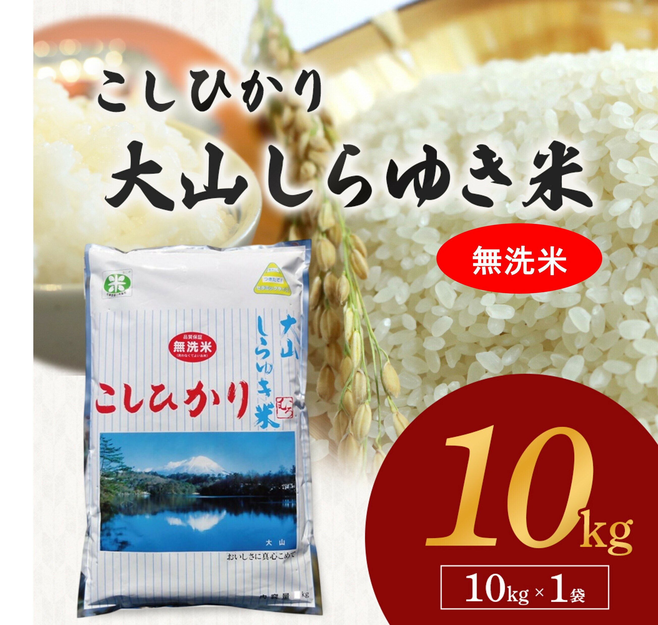 【ふるさと納税】令和7年産 無洗米 大山しらゆき米 10kg コシヒカリ こしひかり むろ米穀 【25-025-006】