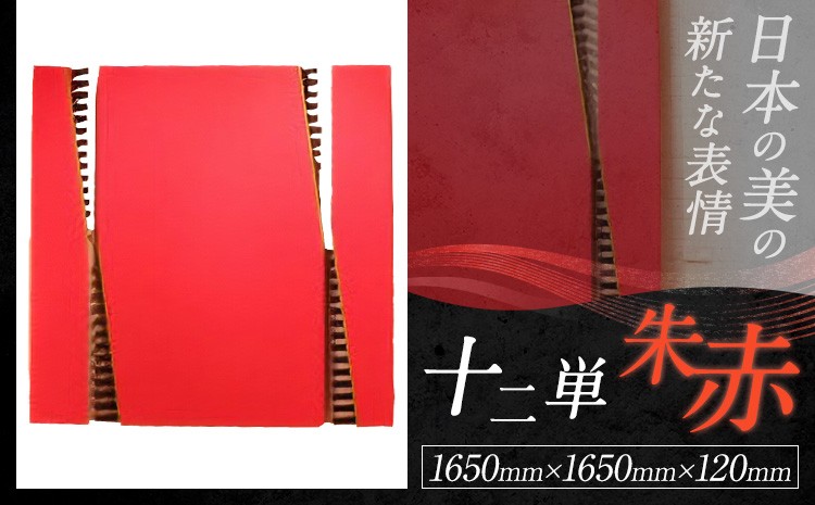 
                  アート作品 十二単-朱赤 ホシカ・アート・プロ 芸術作品 錯視 アート 芸術品 インテリア 壁掛けパネル
                