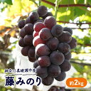 【ふるさと納税】2024年 大玉 高級品種ぶどう 藤みのり 約2kg ぶどう 藤稔 神奈川県 綾瀬市産 　 果物 フルーツ 最高級 品質 大玉 甘い 産地直送 果汁 贈り物 ギフト 　お届け：2024年8月下旬～9月初旬