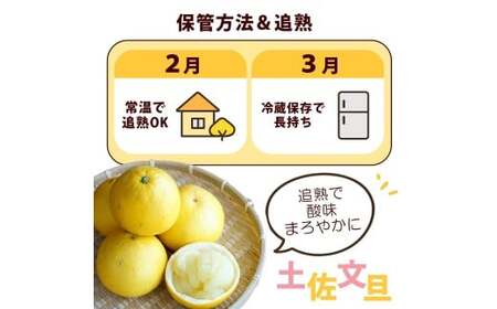 【先行予約】【訳あり】土佐文旦 大玉 訳あり 約10kg（3Lから2Lいずれかのサイズ）〈2027年2月中旬から3月下旬頃発送〉高知県土佐市 【株式会社SHIRAKI】 [BQAI058]