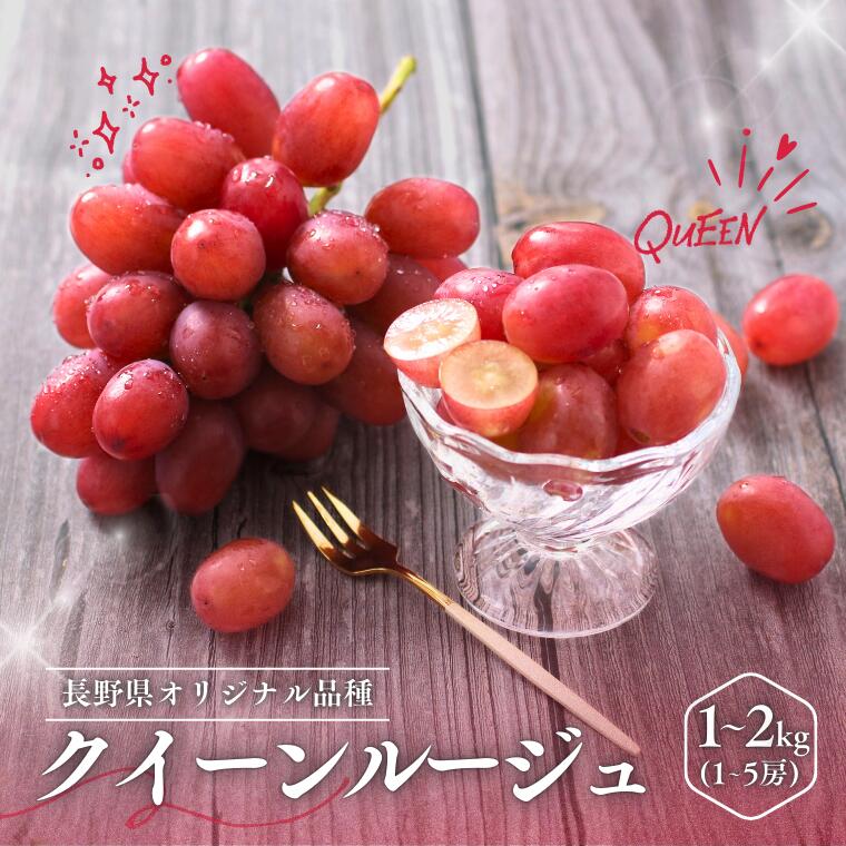 【ふるさと納税】＊2026年度発送＊ぶどう クイーンルージュ®（長野県産秀品） 約1kg・ 約2kg ／10月中旬～11月上旬頃 配送予定 // フルーツ 果物 ブドウ 甘い 種なし 稀少 新品種 長野県 南信州 高糖度 葡萄 MS34 MS35