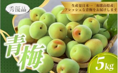 【先行予約】 青梅 5kg ※秀優品 ※サイズ混合 【2027年6月上旬～6月下旬頃に順次発送】＜味好農園＞/ 梅 青梅 梅干 梅干し 梅酒 お酒 シロップ ジュース【agy508-r-5】